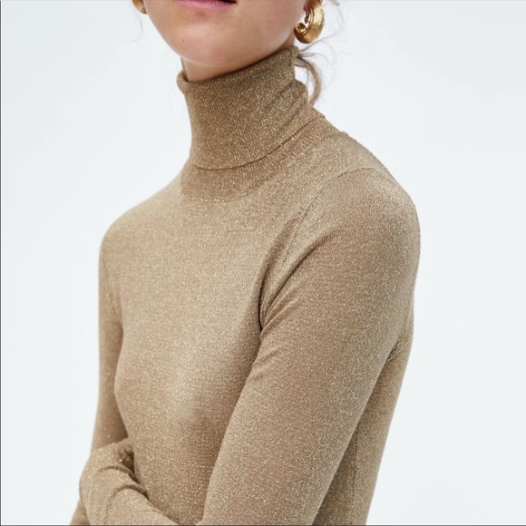 shimmer turtleneck